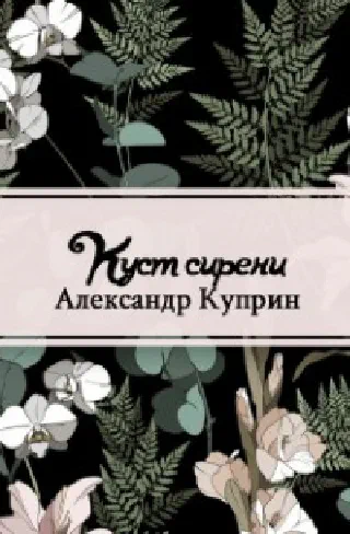 Куст сирени